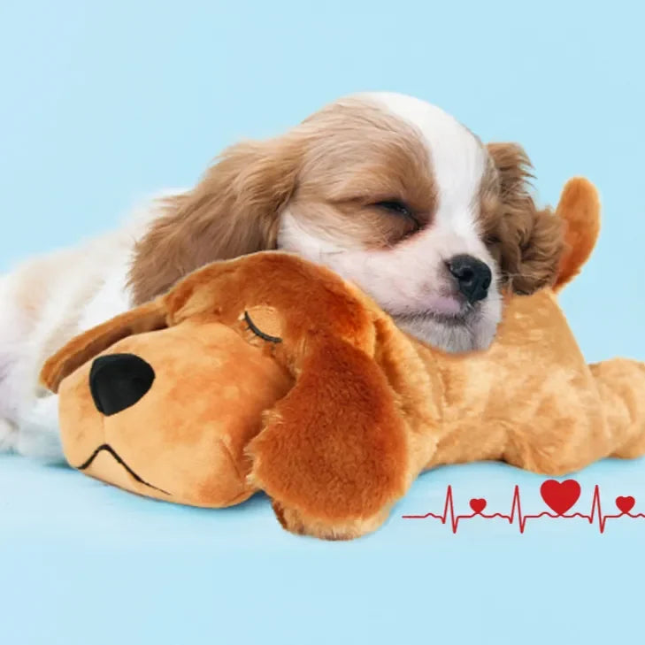 Puppy resting beside a comfort plush